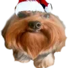 mtzsedit
