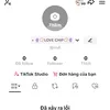 phuong_thao960