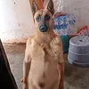 52deosoaiok