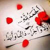 user376631044