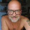 der_graue_bear1