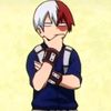 shoto.todoroki960