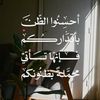 user6610955261905