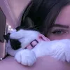 kcha.zebaryii