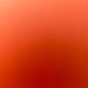 anonymous12364738