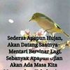 yomangmail.com0