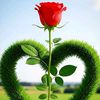 mdimrankhan7867