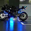 user8213123255619