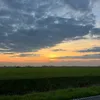 liva_050
