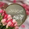 user4997252906168