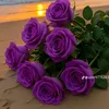 user5922902600748