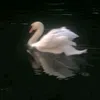 mmmlll922