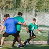 francesco.bitonte