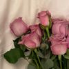 ma_elam69o