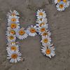 heba.hamo60