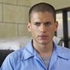 michael.scofield369