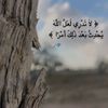 user8781560975241