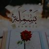 user5668017741790