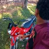 fredson_n11