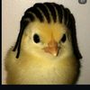 luimnopqr