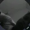 joaoldrs_