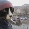 BUDA
