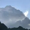 toiminhnguyen2