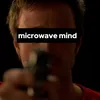 Microwave Mind