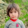 lal.zamin.khan76