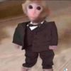 nicmonkey
