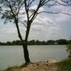 hong.nguyn0760