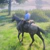 red_ded_redemption2.fan