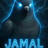 jaylen.re
