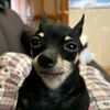 jack123smellmyfeet