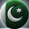 sabar.ali3729