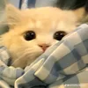 _bubbles143