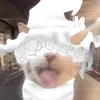 sjxbxy