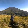 ramma_2929