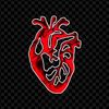 user4891502614713