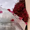 gnaat..ali1
