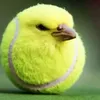 seramalaklover11