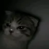 jam4is_vu