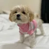 fridaybabycream
