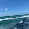 shahar4622