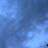 we__e_