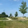 dessie_03444
