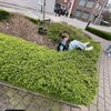 sem.jeurissen