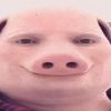 crazybannana138