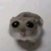 thetomatocheesefr