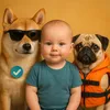 fybuddy